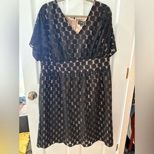 Adrianna papell polka dot mini dress